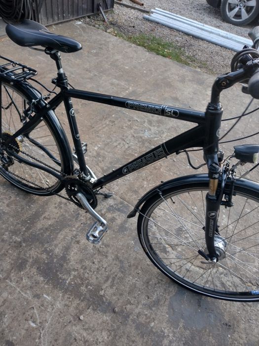 Rower meski pegasus