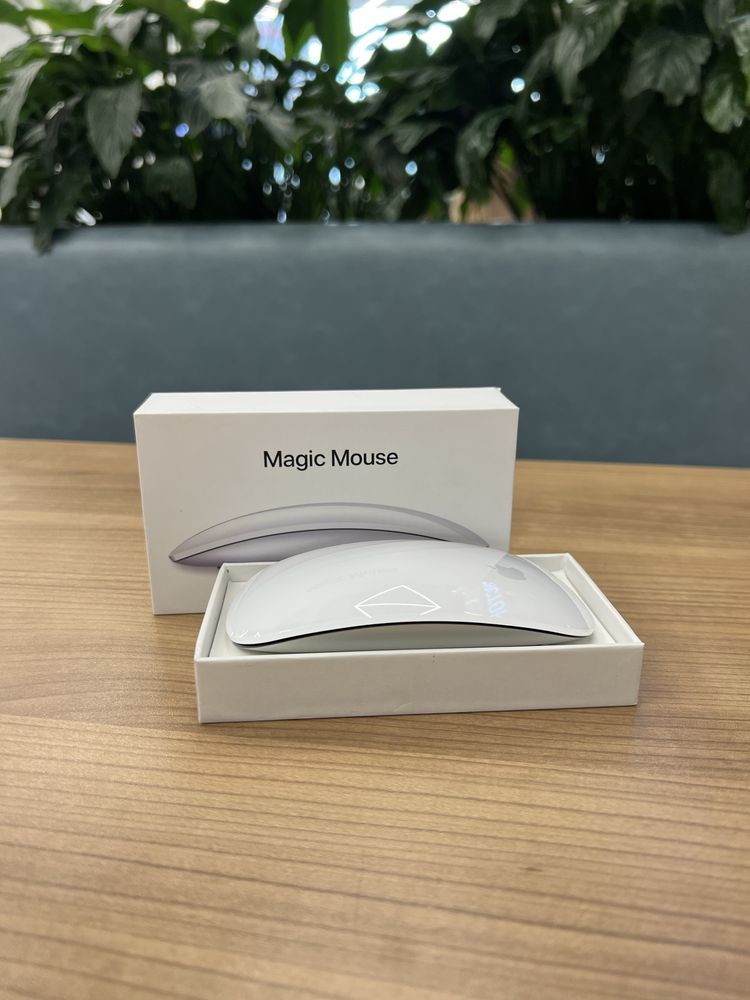 376-Apple Magic Mouse 2