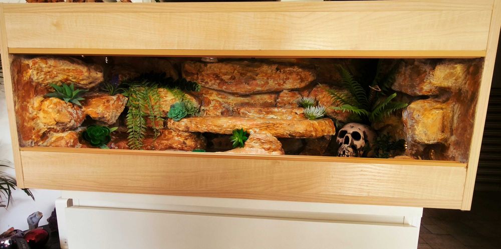 Terrarium agama terrarium pustynne 100x40x40 cały osprzęt