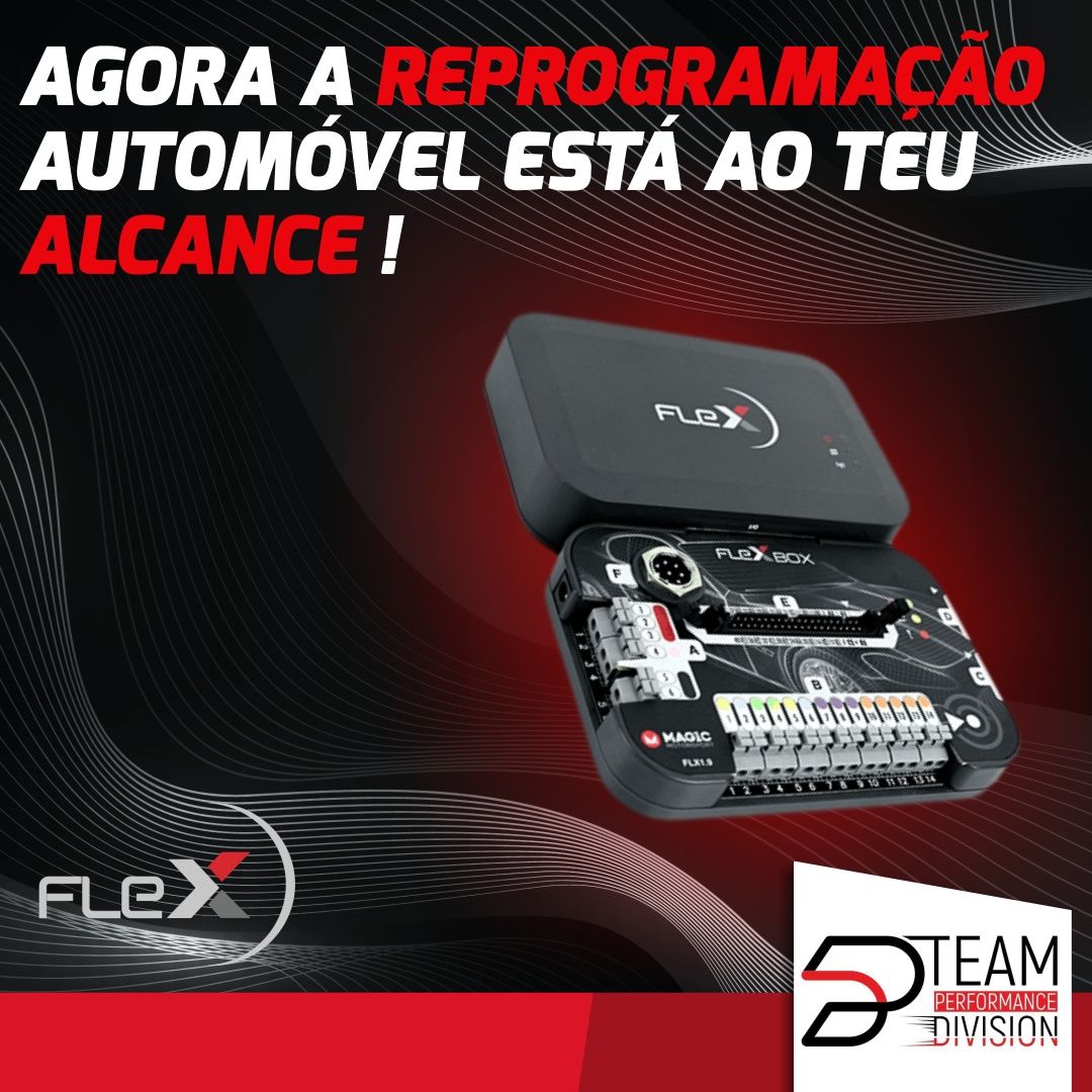 Reprogramação Centralinas auto FLEX
potência/egr/fap/adblue/chiptuning