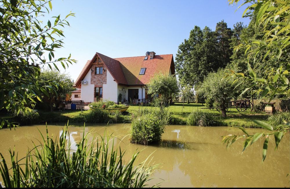 Dom  Przy Lesie Pyszczyn stajnia i staw