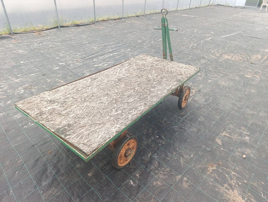 Wózek transportowy platformowy szkółkarski