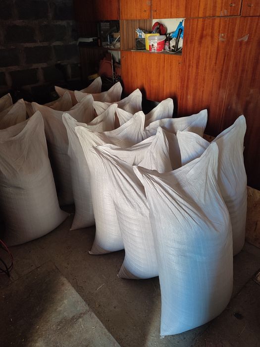 Owies tegoroczny 2025