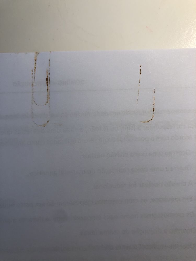 Livro IAVE exame biologia e geologia