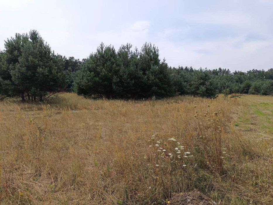 Продаж земельної ділянки під забудову