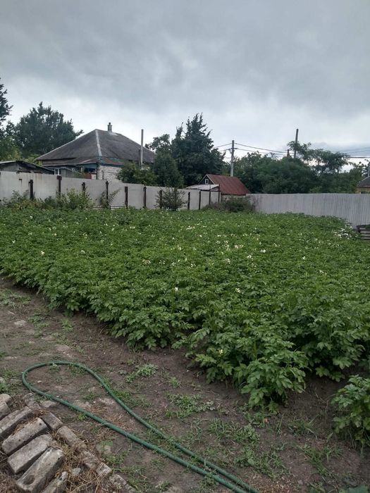 Продам часть дома в Солоницевке (п.Ольшаны)