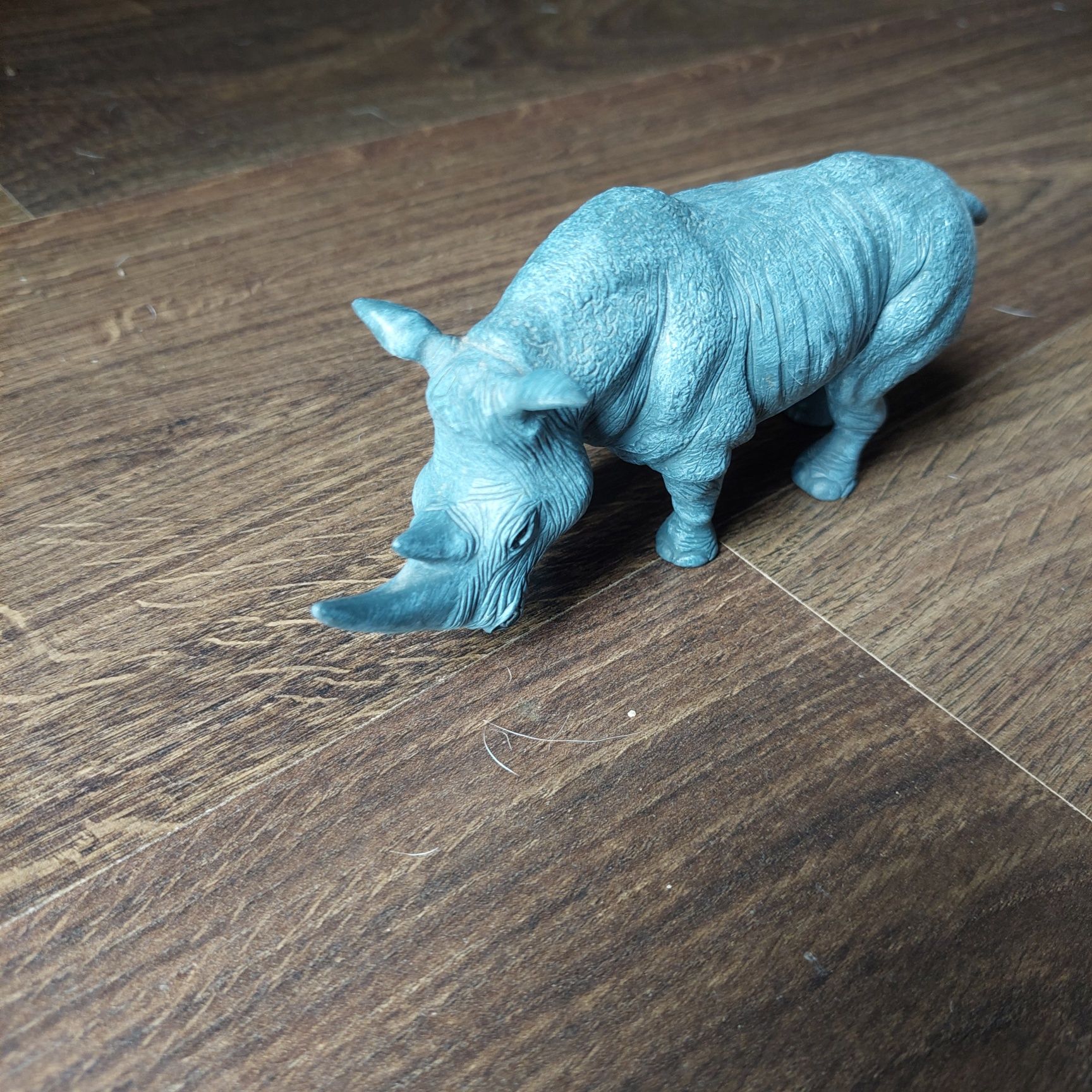 Rinoceronte miniatura