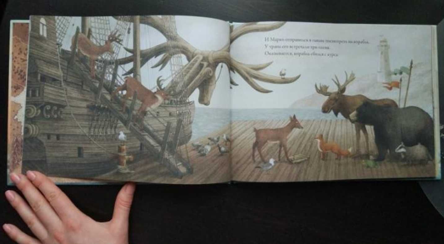 Красивая и мудрая книга «Рогатый корабль»