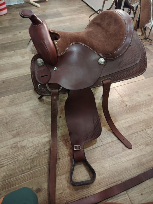 Sela australiana nova