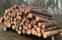 Drewno KOMINKOWE WAŁKI - BUK, DĄB, GRAB, brzoza , sosna, osika