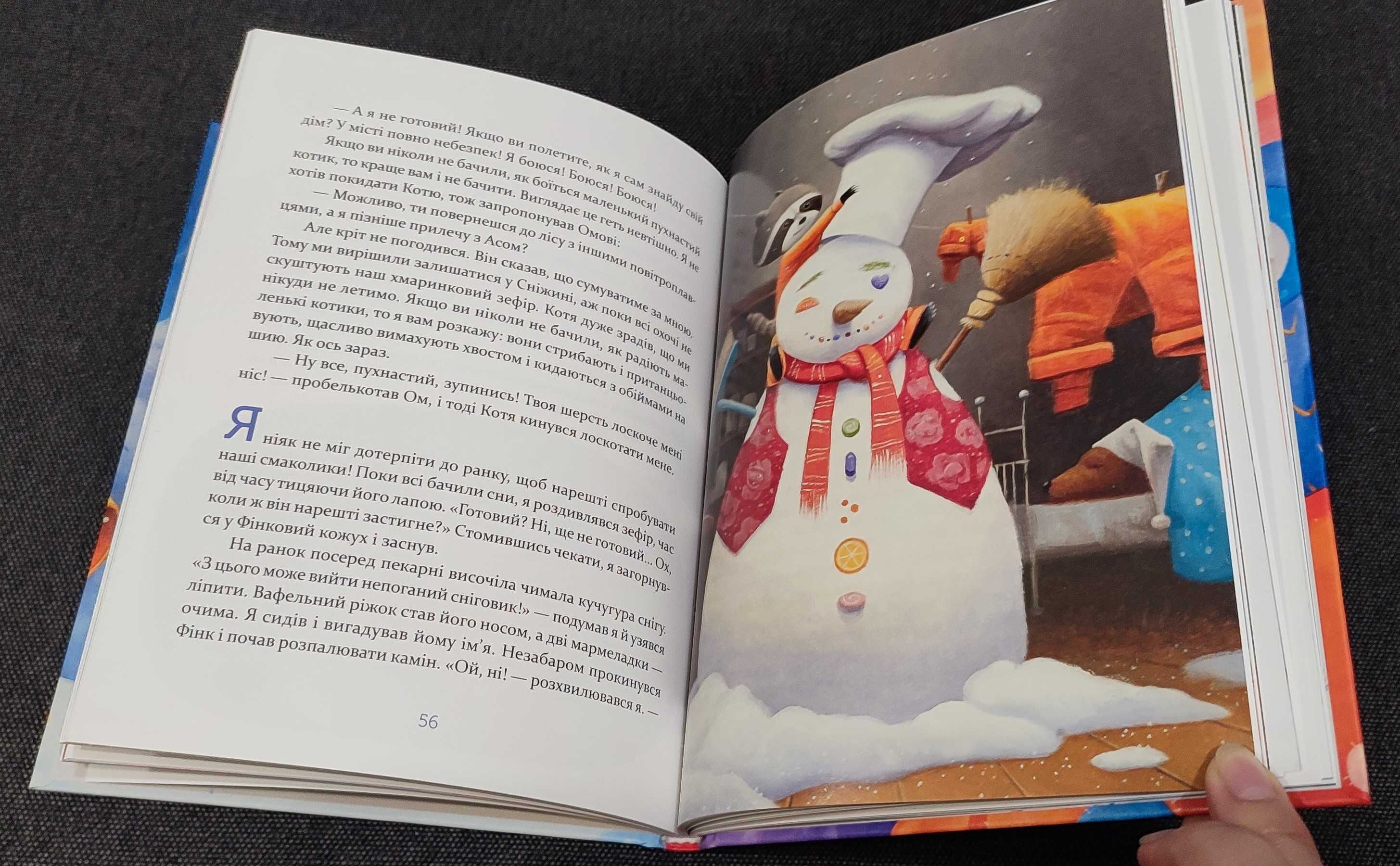 Нові книги Єнотик Бо і повітряна куля, і дивний-дивний сніг