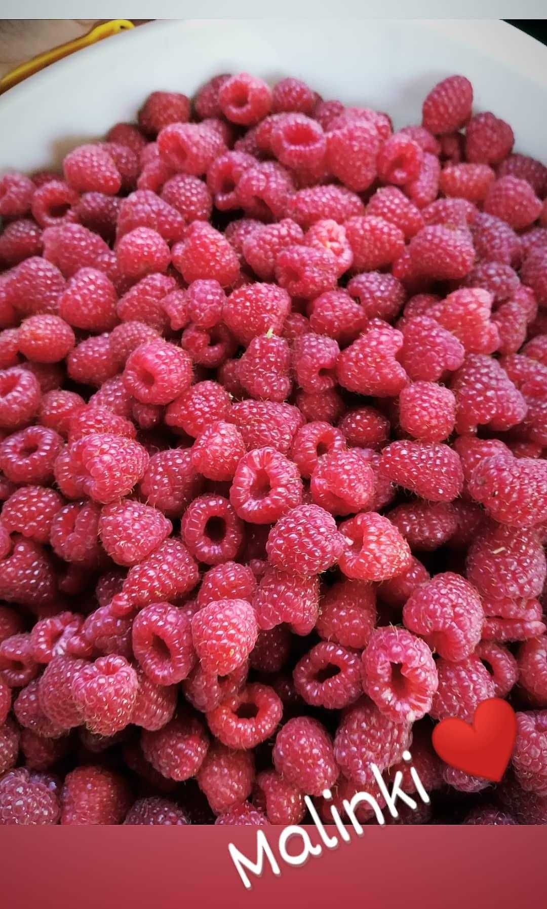 Maliny owoce okolice Jasła