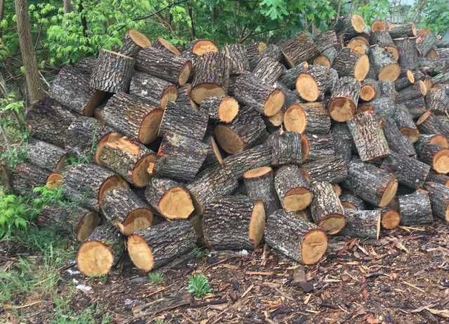 Продам дрова ДУБ и СОСНА,метровки,чурки и колотые
