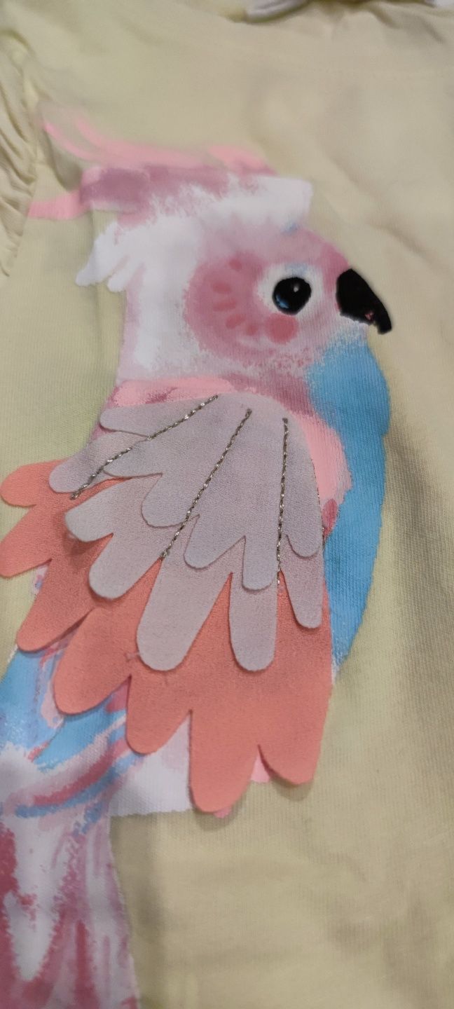 Letni komplet H&M, papuga 3D, 4-6 lat, bawełniany