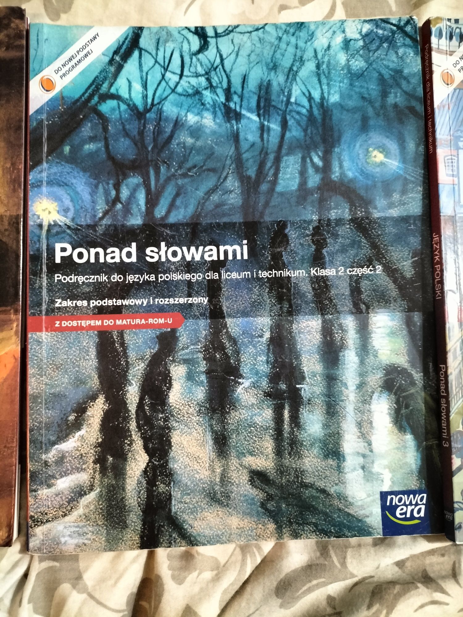 zestaw podręczników ponad słowami