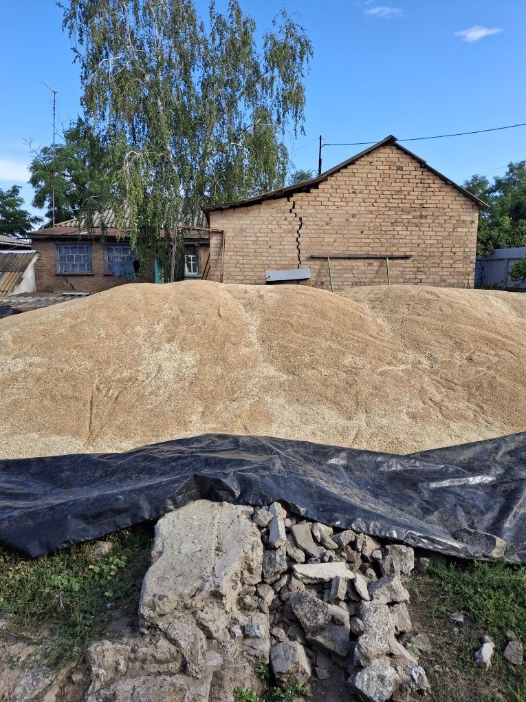 Продам пшеницю  8гр.