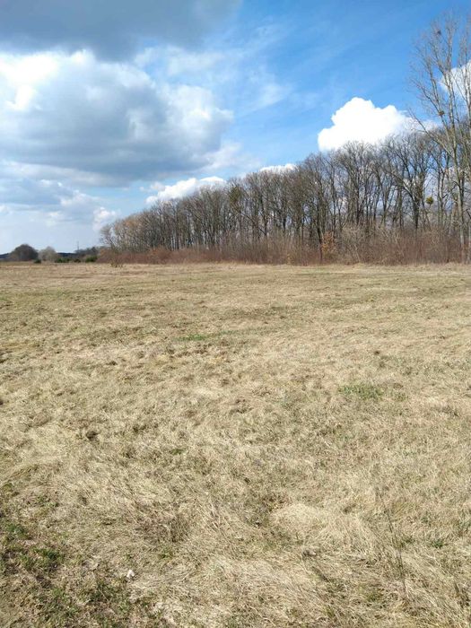 Земельна ділянка