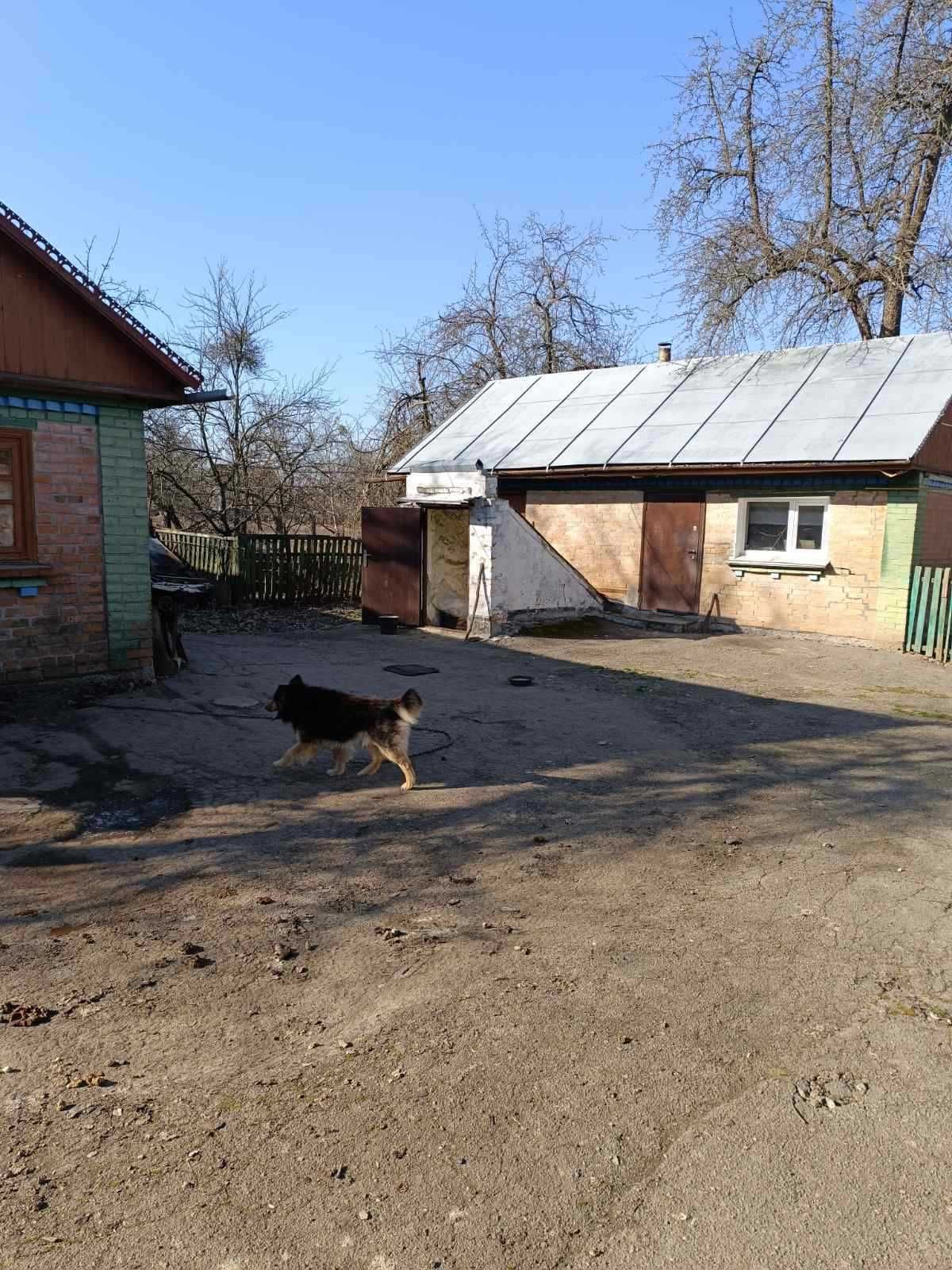 Продається житловий будинок у селі Хижинці