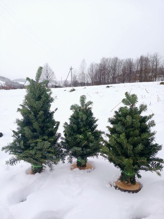 Гілочки для декору та в'язані ялинки мотанки оптом і вроздріб