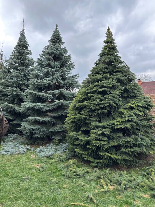 Догляд за садом,садівник,озеленювач Київ