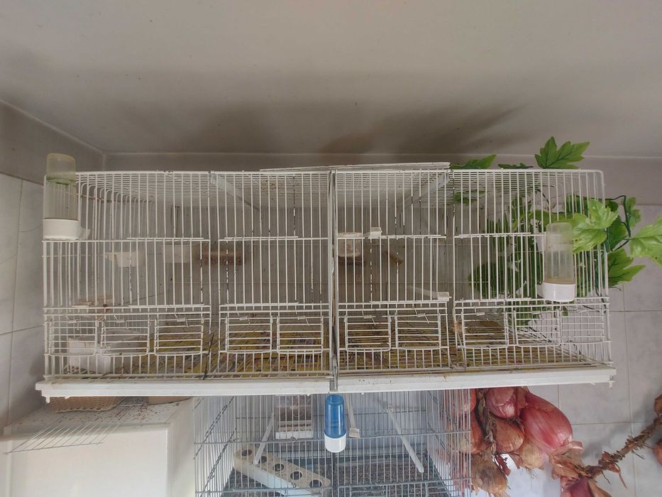 Temho viveiro 1.20mm