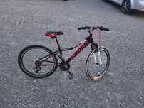Kross hexagon 1.0 Junior edition