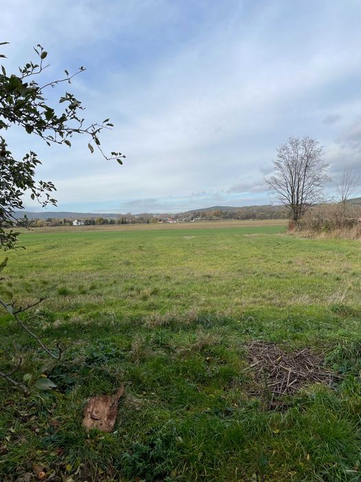 Działka rolno-budowlana 1580m2 posiadająca warunki zabudowy