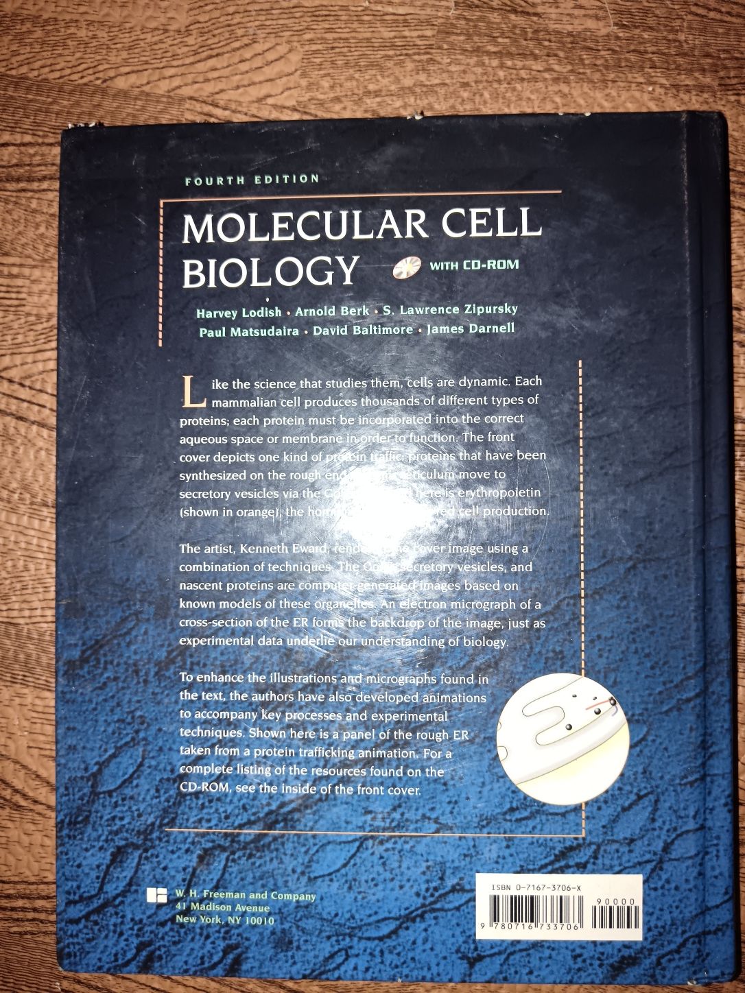 Molecular Cell Biology
by Lodish, Harvey F