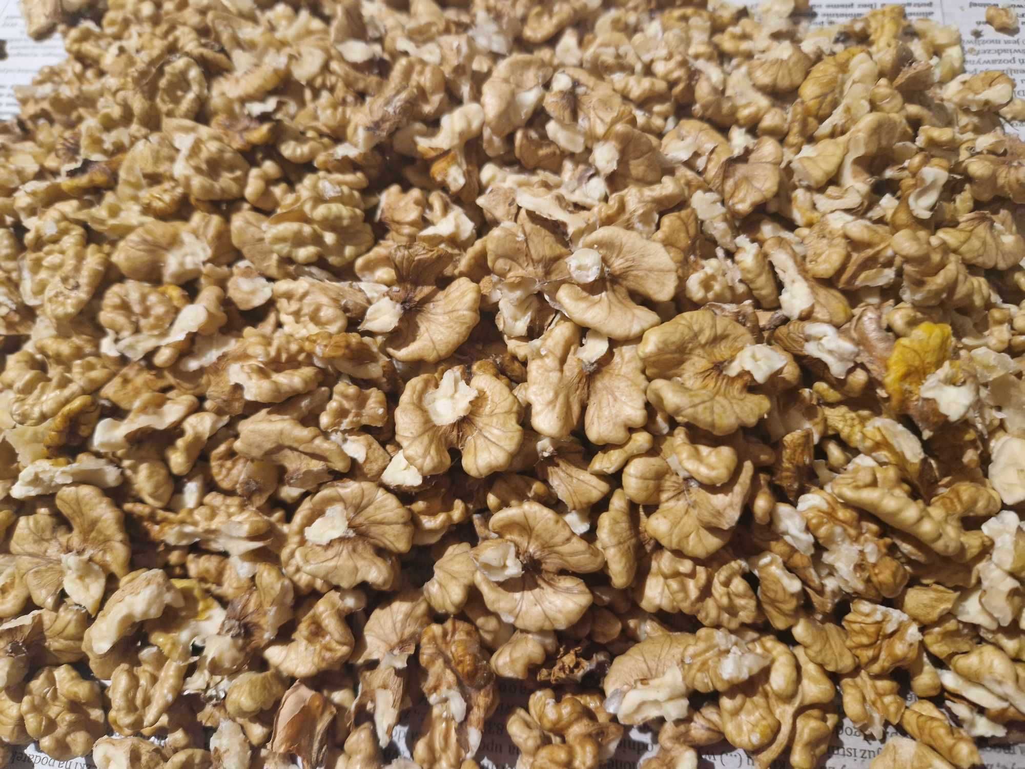 Orzechy włoskie łuskane świeże - zbiór 2023 - 0,5 kg