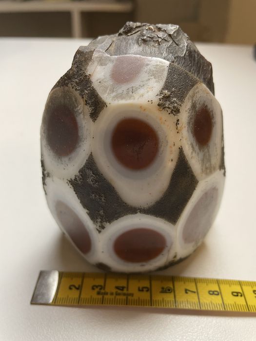 Agat polerowany – efektowny okaz 10 cm