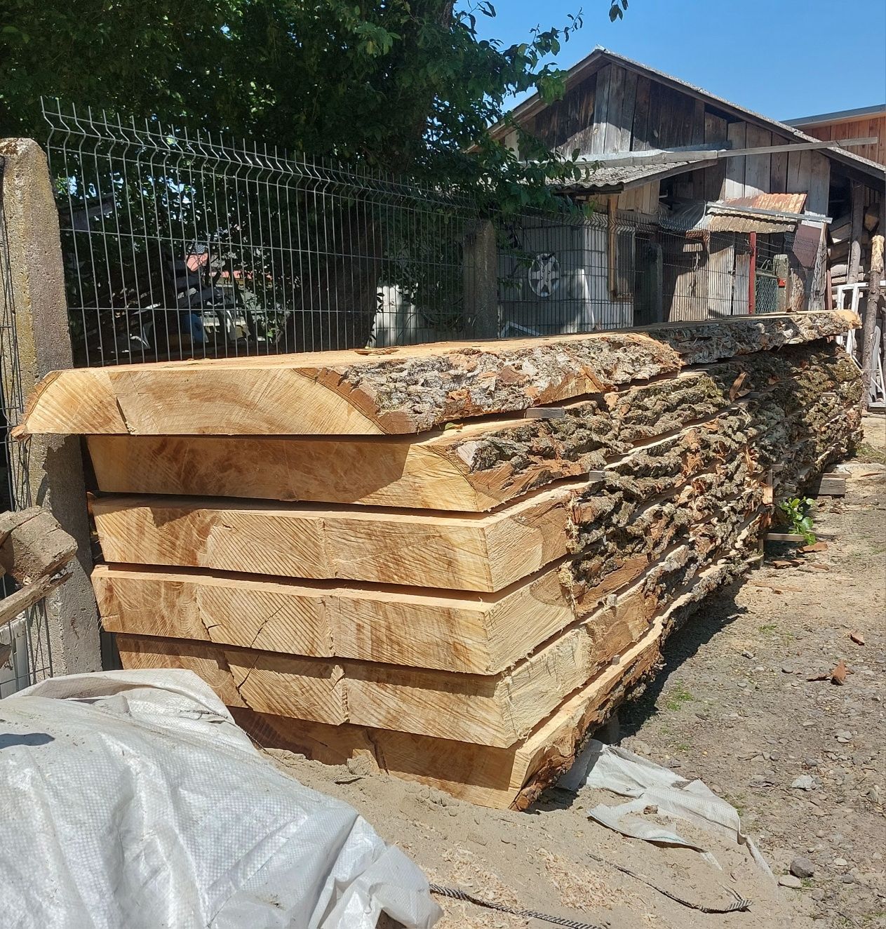 Topola plaster stół konferencyjny tarcica deski brusy monolit.