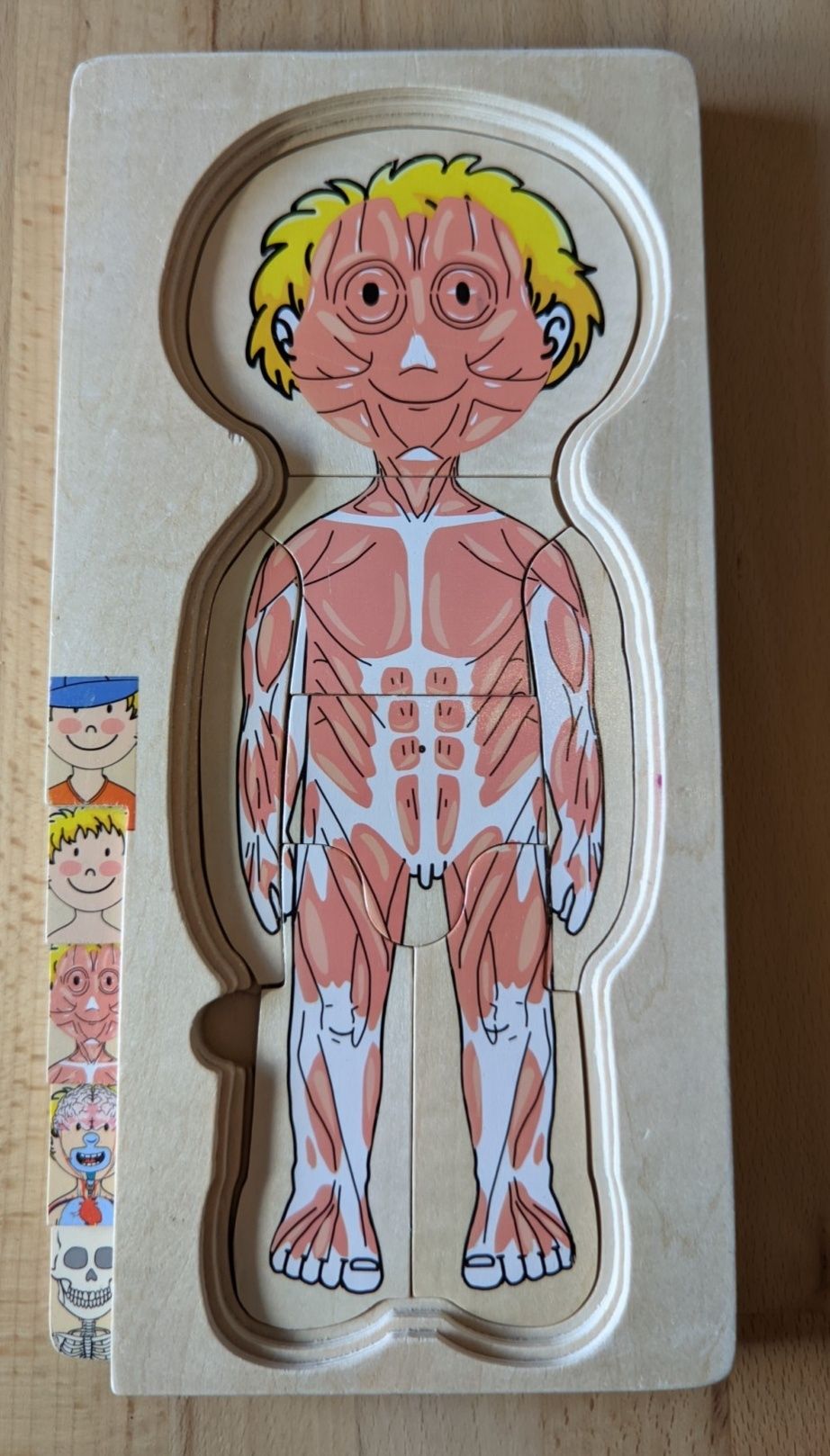 Игрушка-пазл анатомия человека (Германия)