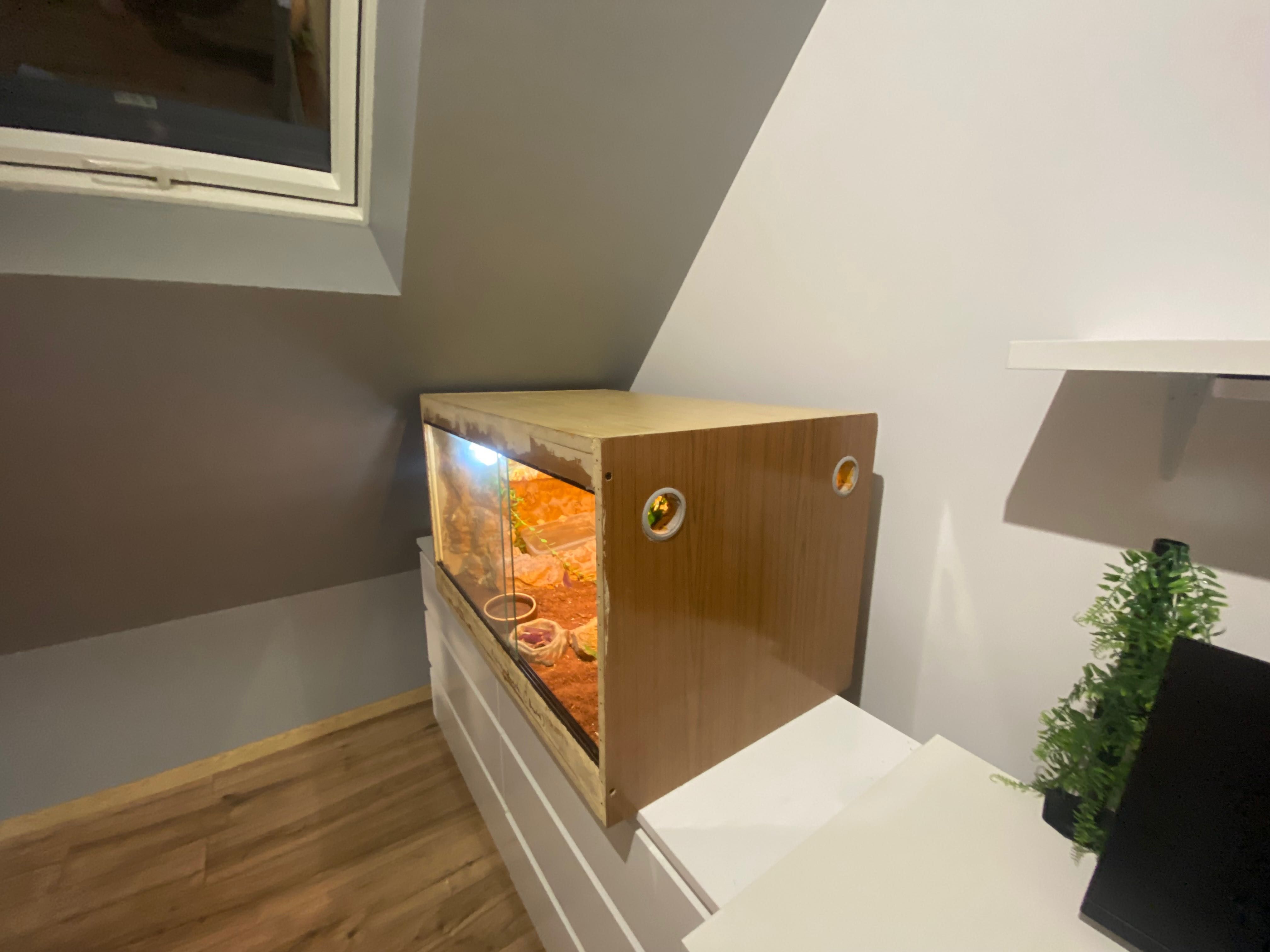 Terrarium dla agamy brodatej