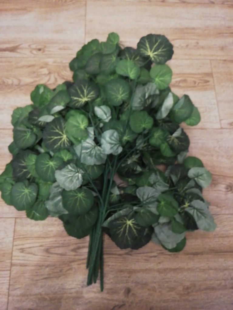 Gałązka begonia 5x35