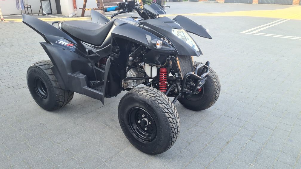 Adly 320 Access lucky star bashan shineray quad