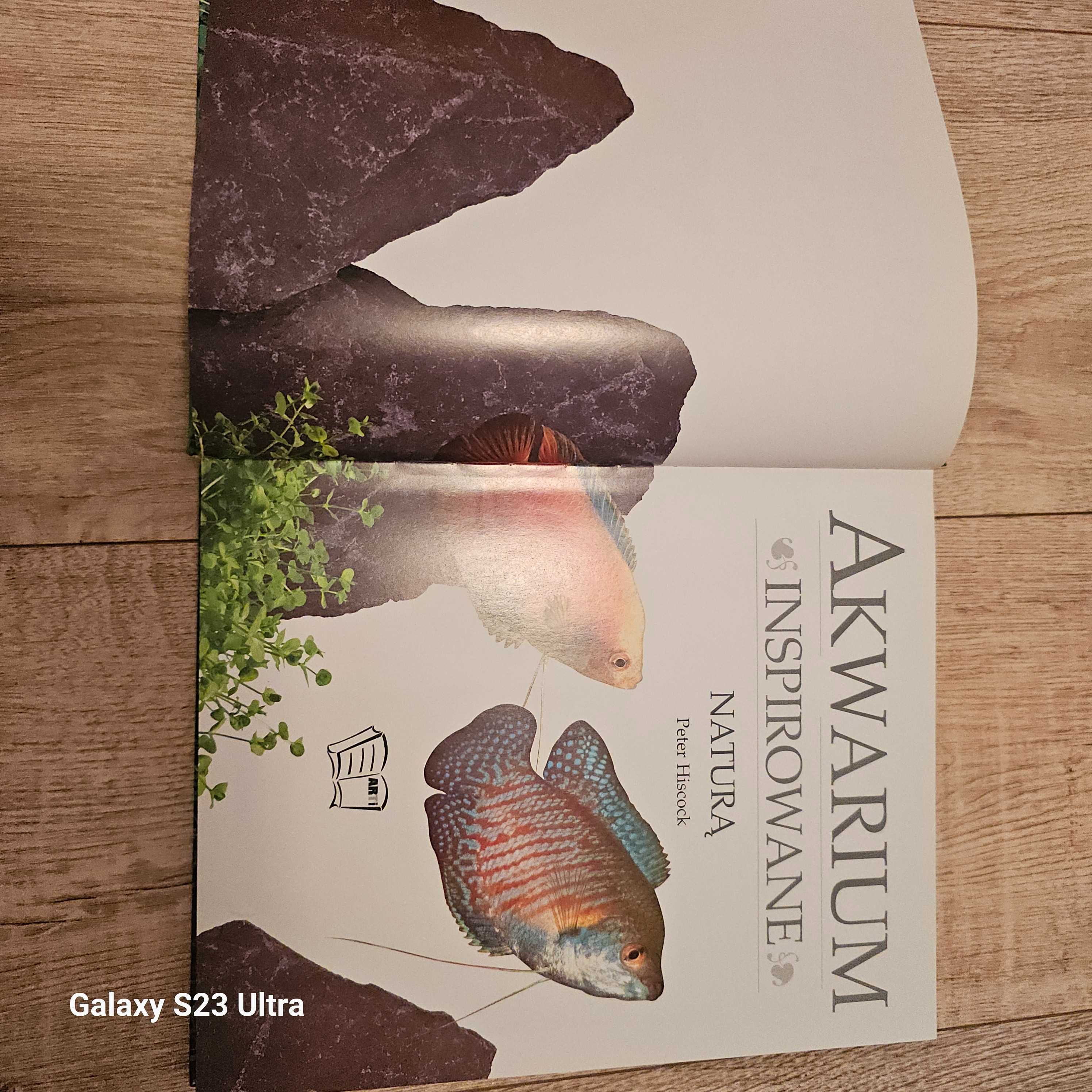 Akwarium inspirowane naturą. Peter Hiscock
