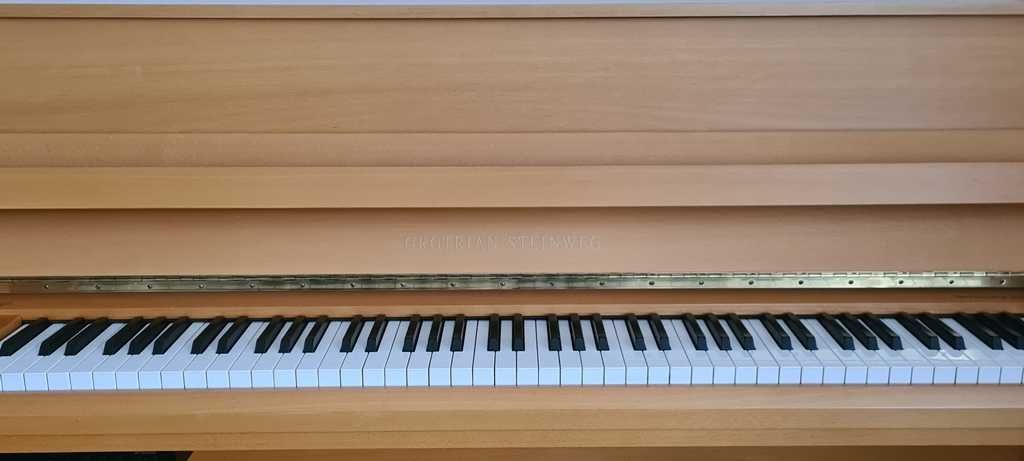 Profesjonalne, najlepsze pianino Grotrian Steinweg 1996 r. + silent