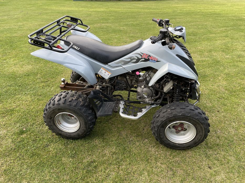 Quad ATV Dinli 300