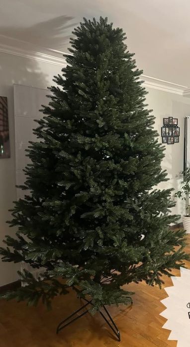 Ялинка Альпійська 2.90 м