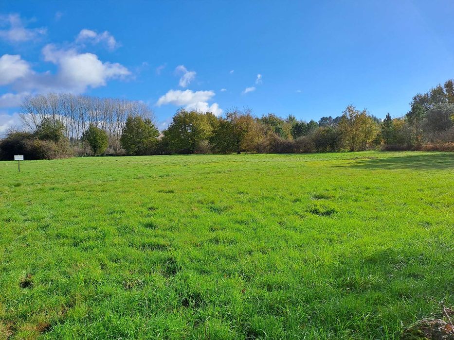 Vendo terreno em Douro Calvo, Sátão, Viseu