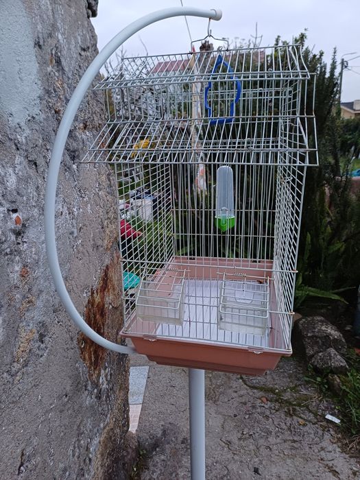 Conjunto de gaiola e pé