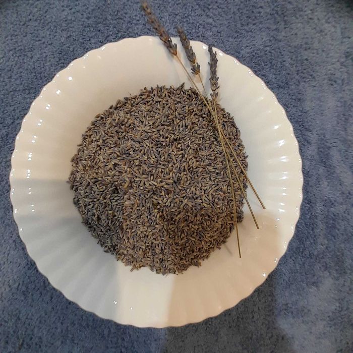 Lawenda suszona 100g