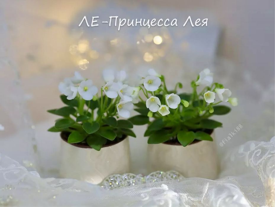 Фіалки, дітки фіалок, міні фіалки, мікро фіалки, мини фиалки, микро