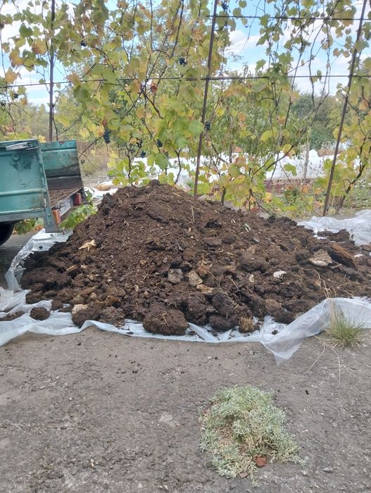 Гній коров'ячий дворічний з доставкою