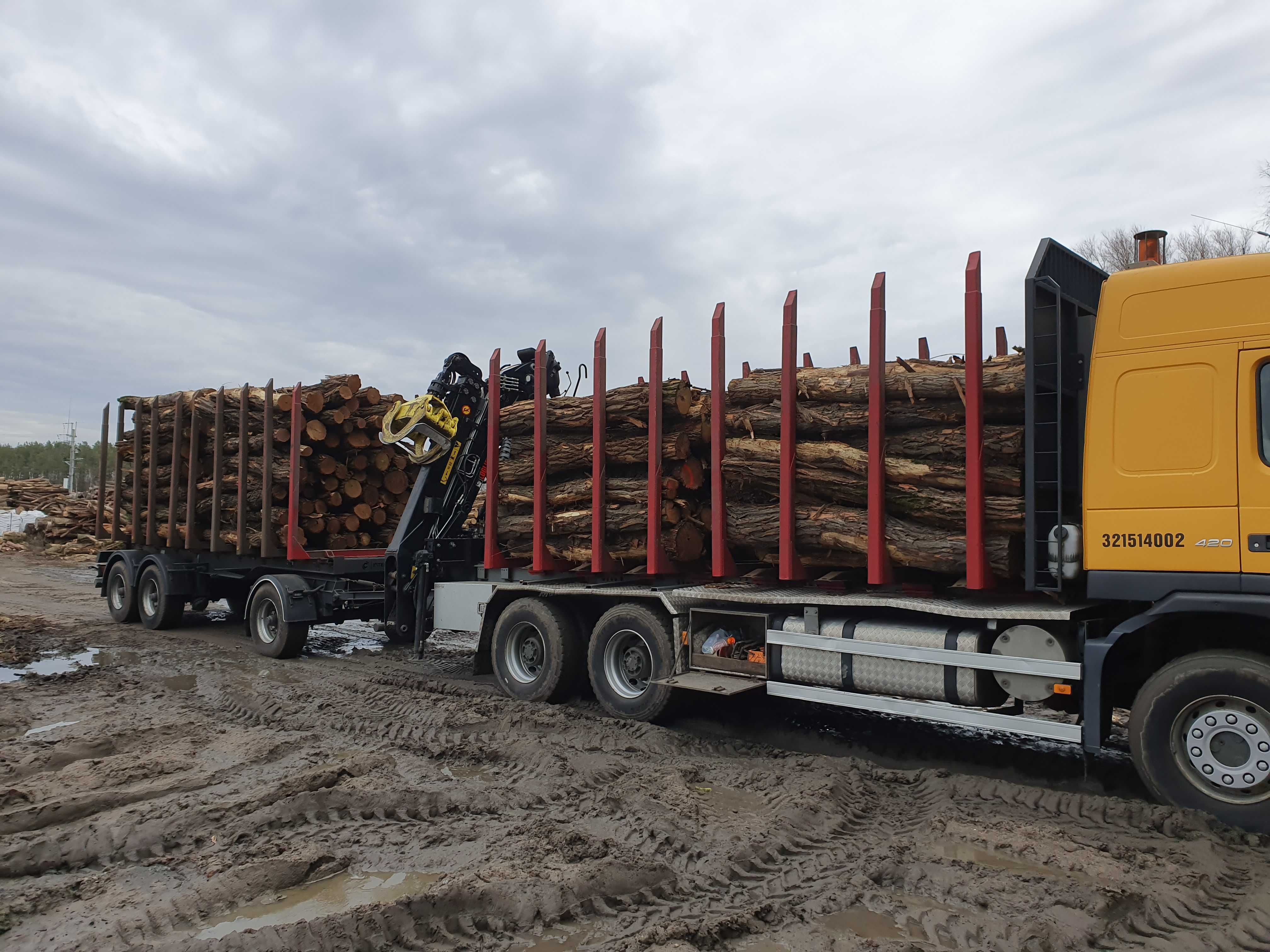 DrewKom Drewno kominkowe AKACJA kloda dl. 2,5m S2a S2b transport HDS