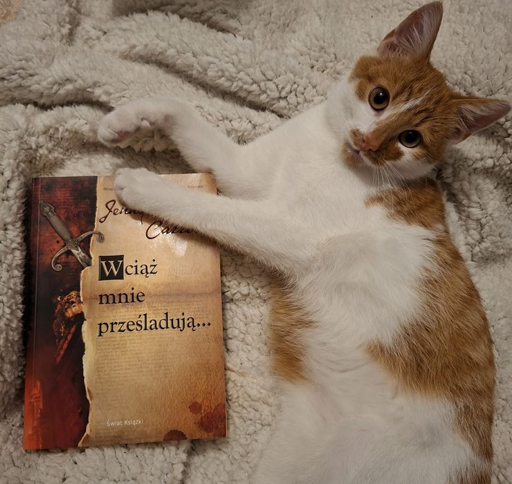 Wciąż mnie prześladują.