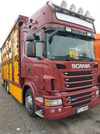 Sprzedam Scanie Scania R480 do transportu zwierząt