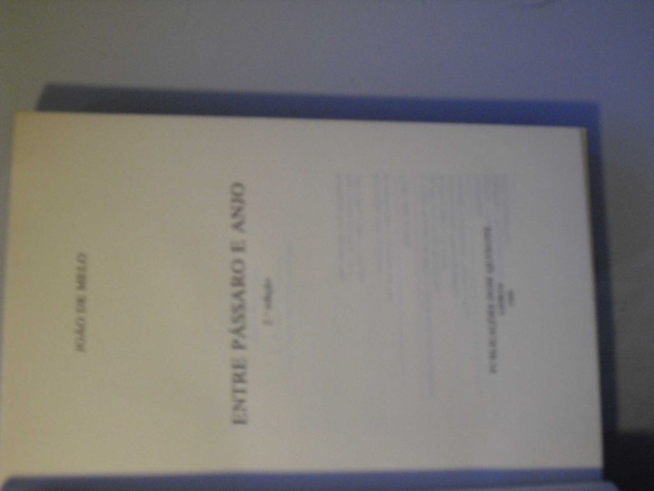 Melo (João de);Entre Pássaro e Anjo