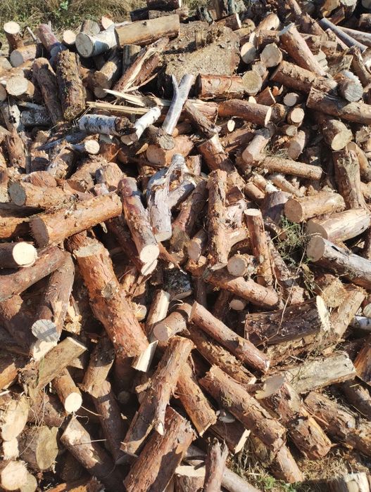 Suche Drewno opałowe sosna. buk.brzoza olcha