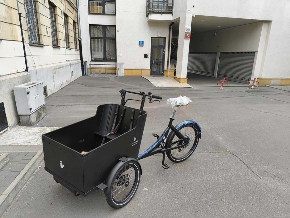 Rower elektryczny Cargo Triobike Hafnia